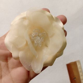 Hoa von nhụy pha lê
