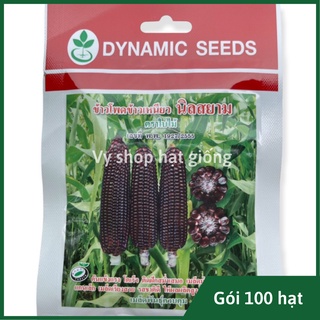  Hạt giống ngô nếp tím  bắp nếp tím  Thái Lan gói 80 hạt 