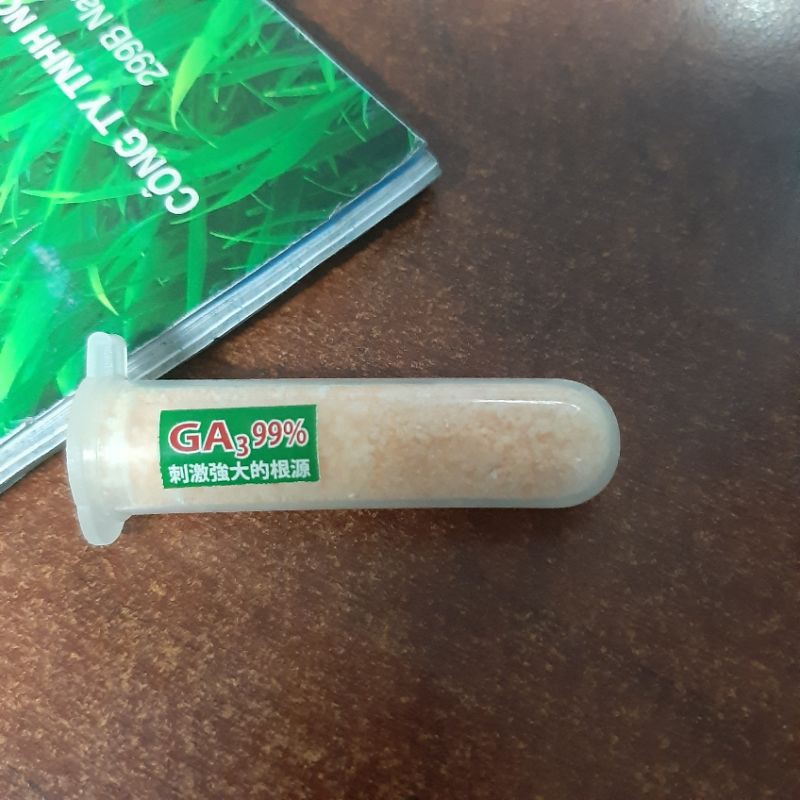 Ga3 Kích Mầm