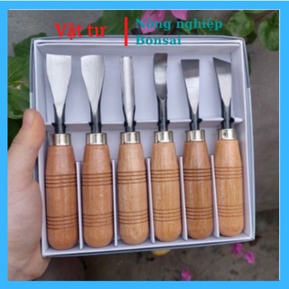 Bộ 6 cây đục gỗ- cây cảnh- bonsai - dao điêu khắc gỗ mini lưỡi thép hợp kim cao cấp HM176