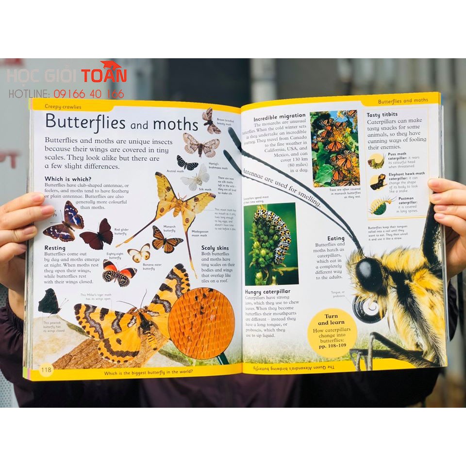 Sách &quot; First Animal Encyclopedia - Bách khoa toàn thư đầu tiên về động vật DK 6+&quot;