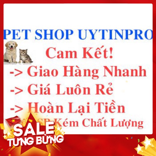 VÒNG CỔ DẠ QUANG CHO PET THÚ CƯNG CHÓ MÈO DƯỚI 5KG