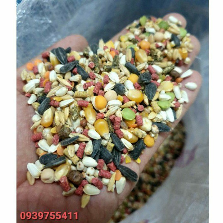 1KG Ngũ Cốc Cho Gà Đá Ngũ Cốc Gà Tre Thức Ăn Gà Chọi