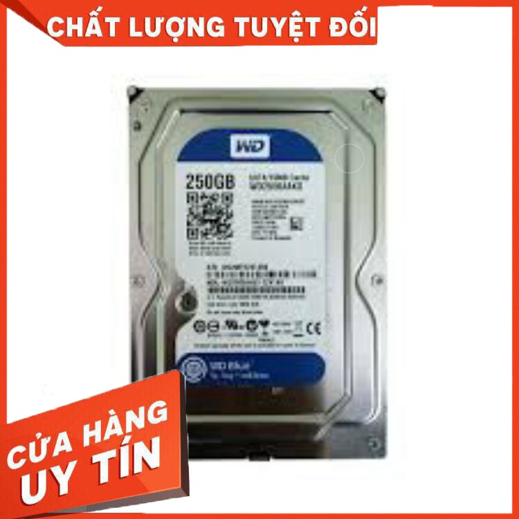 Ổ cứng PC Hdd 250GB + Dây sata 3