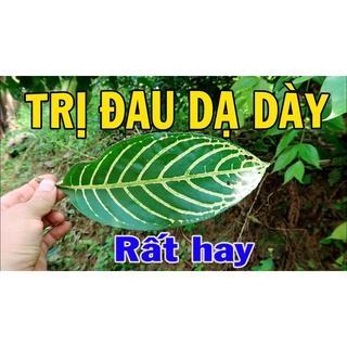01kg lá xăng xê hỗ trợ daday
