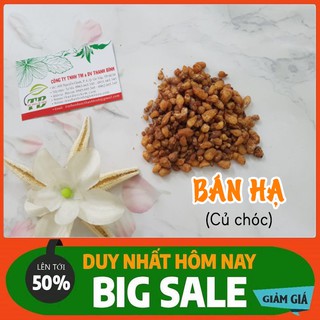 Bán hạ khô (Củ Chóc) 100g _ Thảo Dược Thanh Bình