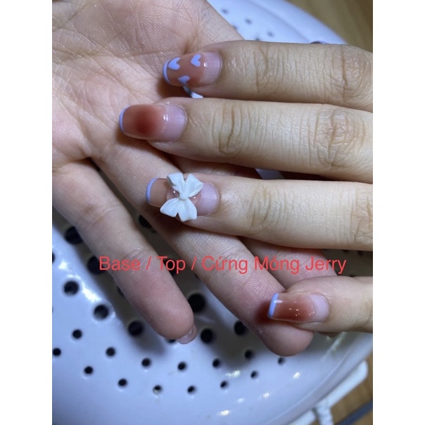 Base, top, cứng móng, ,  Jerry chính hãng
