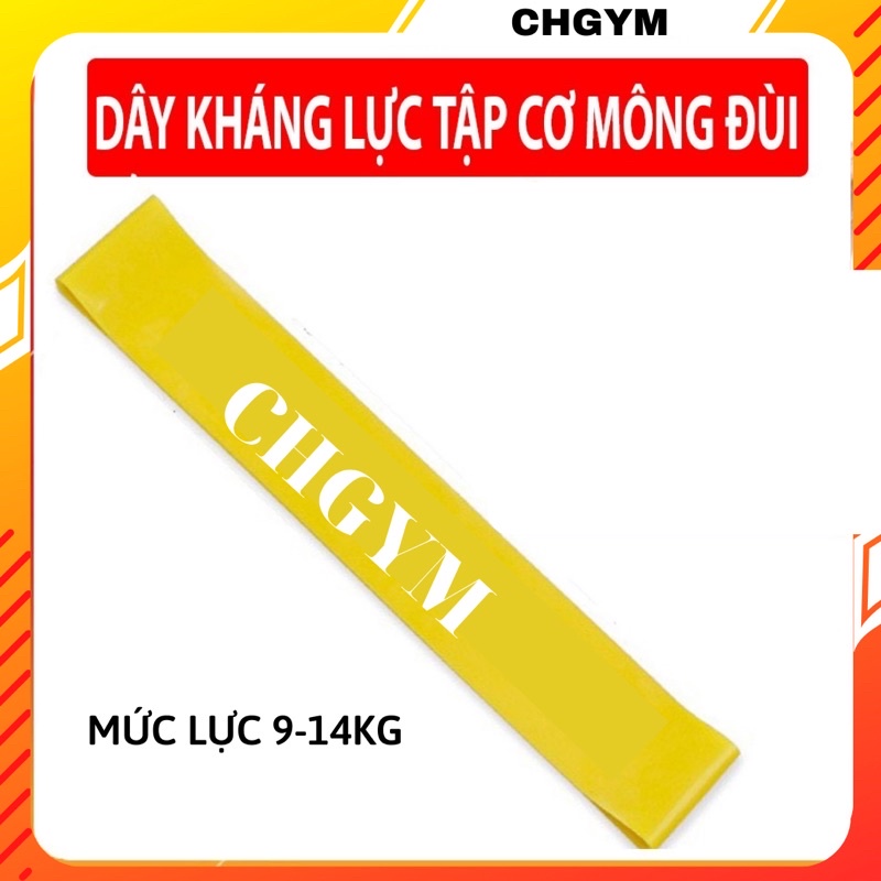 Dây kháng lực tập mông, dây miniband tập mông đùi CHGYM