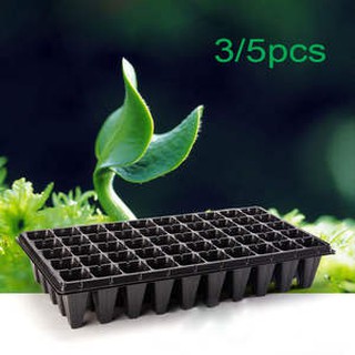 khay ươm hạt 50 lỗ