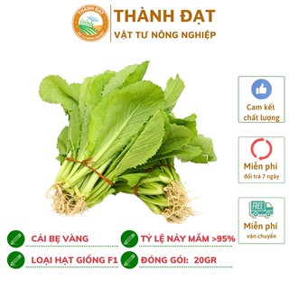 Hạt giống rau cải bẹ lá vàng gói 20gr~4000 hạt
