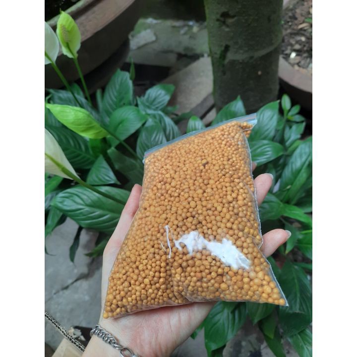 [Giá sỉ] 100g Phân tan chậm hạt vàng Osmocote 14-14-14 dùng cho lan, cây trồng