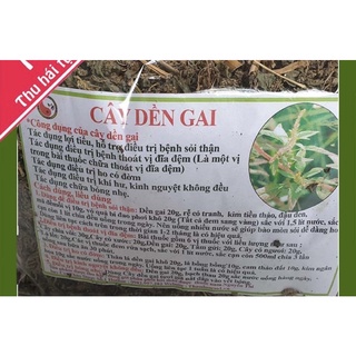 Cây dền gai khô nguyên chất, loại 1