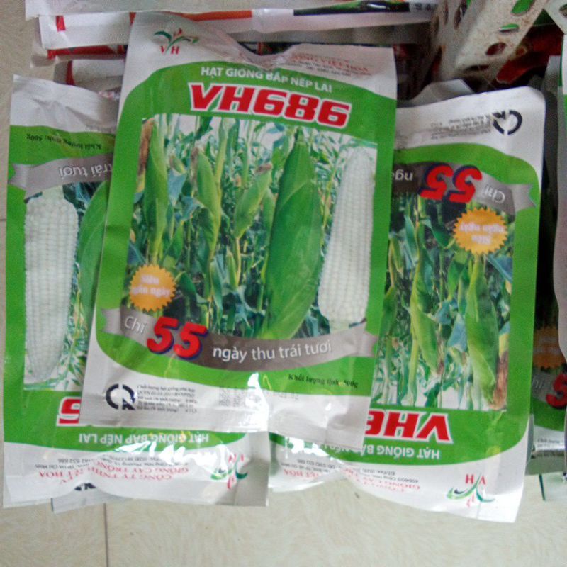 Hạt giống bắp nếp lai VH686