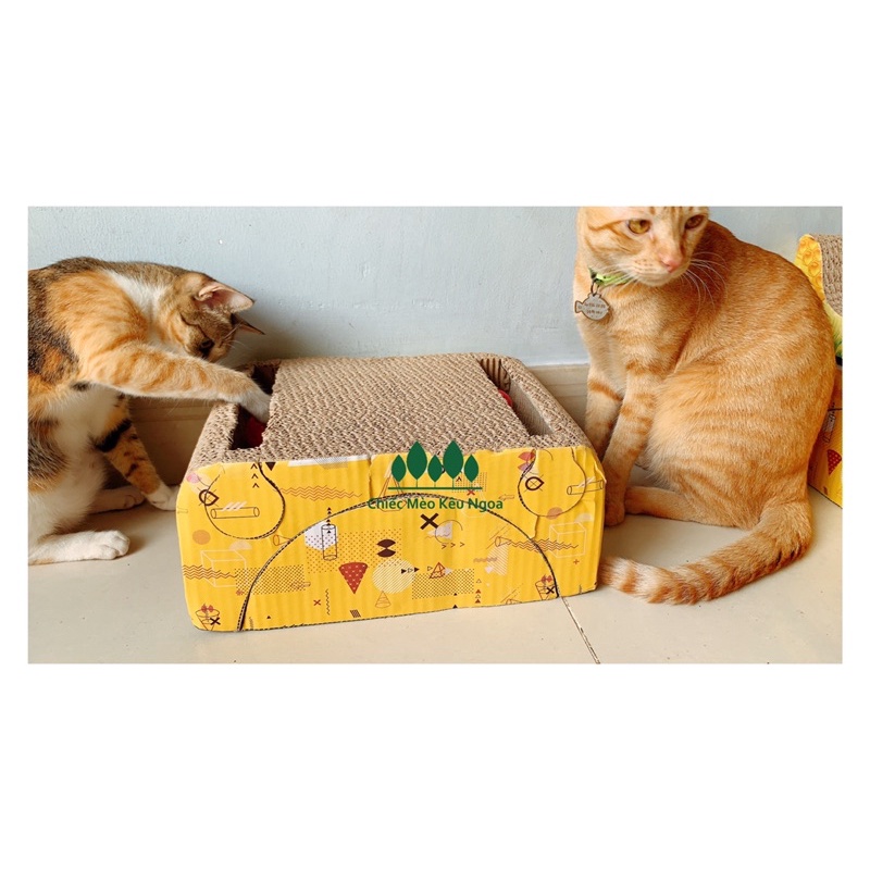 Cào móng cho mèo khối chữ nhật 2 rãnh banh lục lạc - 2in1 - Tiệm Mèo Moa
