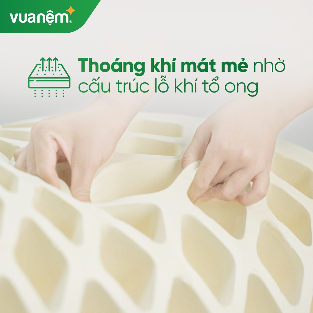 Nệm cao su 100% thiên nhiên cao cấp Gummi Standard 10cm tại Vua Nệm - Nâng đỡ vượt trội, thoáng khí tối ưu