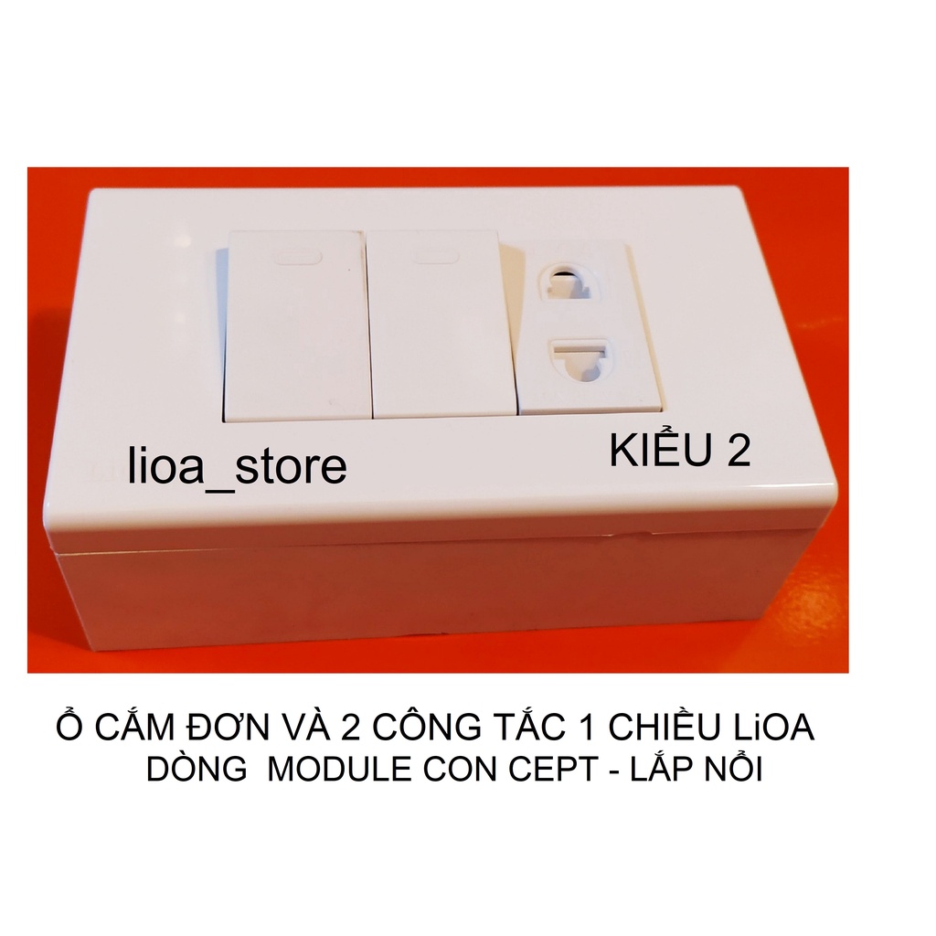 Ổ CẮM ĐƠN 2 CHẤU VÀ  2 CÔNG TẮC 1 CHIỀU LiOA VỚI MẶT MODULE CONCEPT.