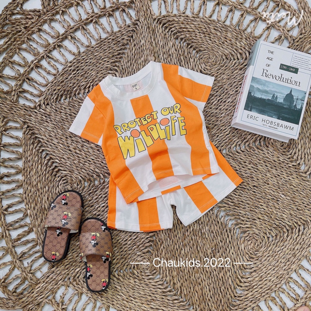 Bộ cộc tay bé trai, bé gái, Bộ phối màu sọc đứng cho bé