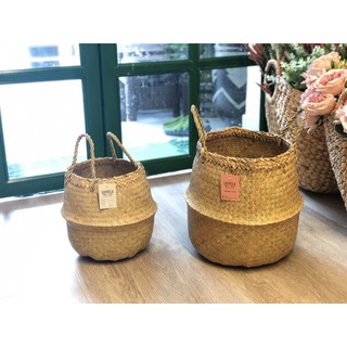 GIỎ CỐI BẦU BỤNG