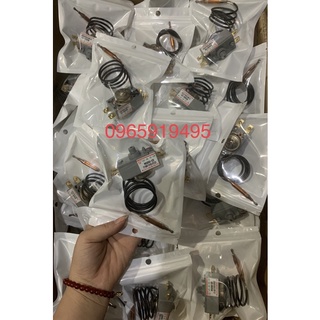 Rơ le điều chỉnh nhiệt chống cháy Bình Nóng Lạnh