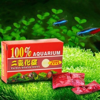 Viên nén CO2 cho hồ thuỷ sinh