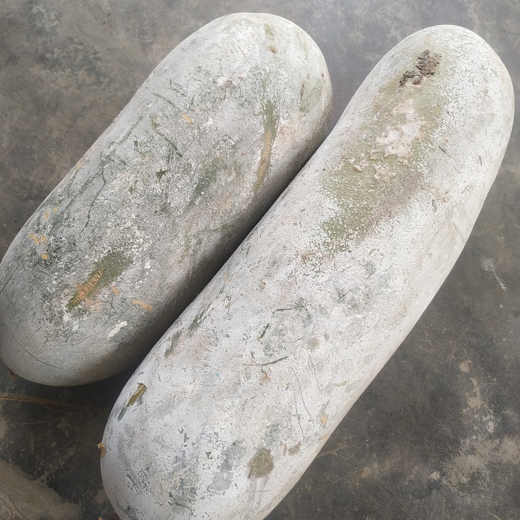 bí đao sấy khô - 1kg - nấu sâm bí đao giá sale chỉ 139k