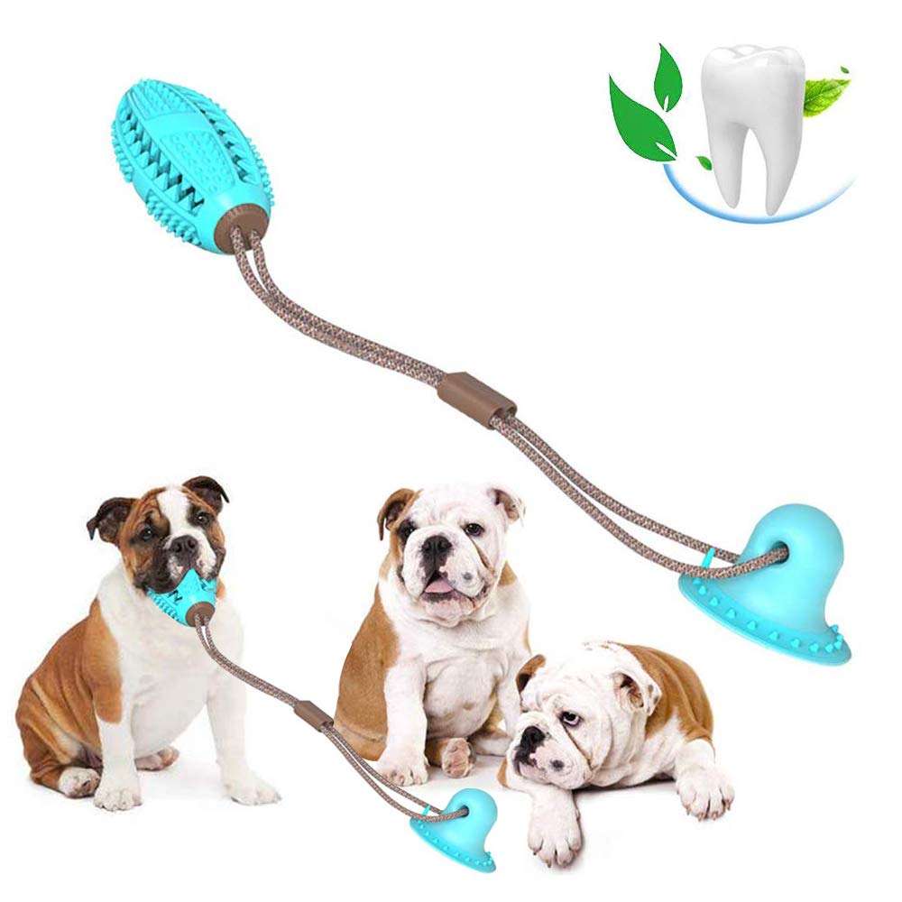Đồ chơi cho chó SMART CHÓ Cốc hút TPR Làm sạch răng cho thú cưng Bàn chải đánh răng Bàn chải đánh răng Đồ chơi tương tác hút đào tạo bóng rò rỉ