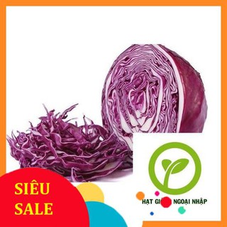 Hạt giống bắp cải tím 50 hạt HAT F1