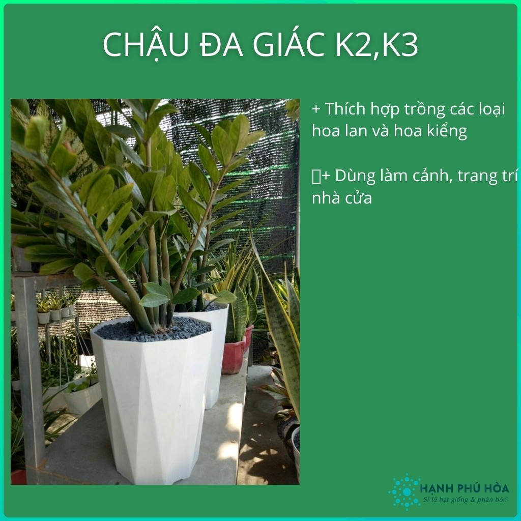 Chậu Nhựa Kim Cương Trắng Đa Giác K2,K3 Nhiều Kích cỡ Trồng Hoa Lan, Cây Kiểng- Chậu Nhựa Bền, Đẹp, Nhẹ, Đa Năg