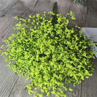 Hoa khô nhiều màu