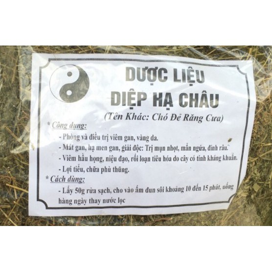 Diệp hạ châu (gói 1kg khô) - OLF038