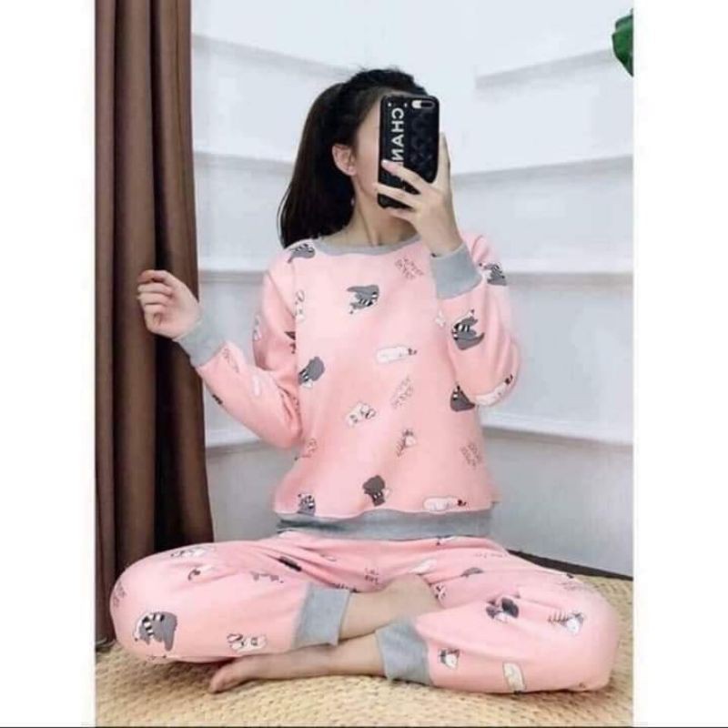 Combo 10b Bộ nỉ bông loại 1 nhiều màu