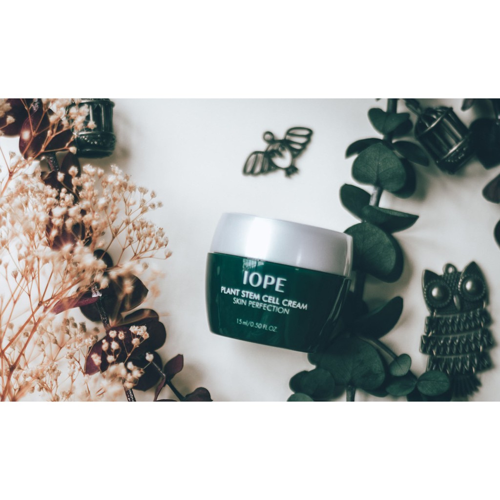Kem Dưỡng Tế Bào Gốc Thực Vật IOPE Plant Stem Cell Cream Skin Perfection 15ml