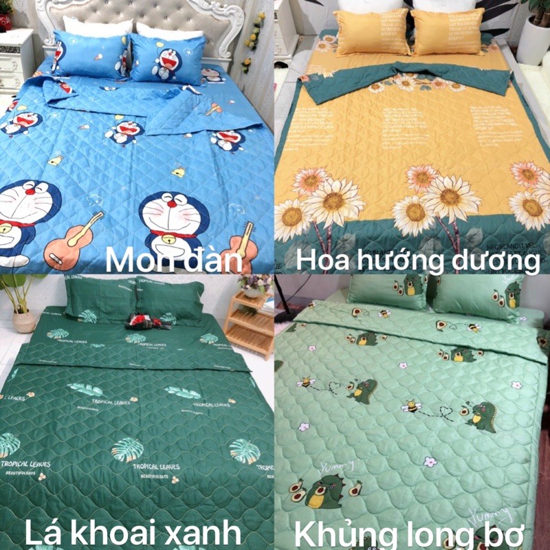 Chăn hè ( mền ) COTTON POLY trần bông 3 lớp, chat chọn mẫu