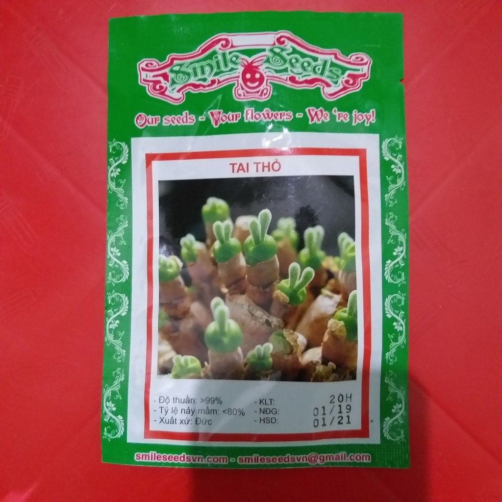 Hạt giống Tai thỏ mix (20 hạt)