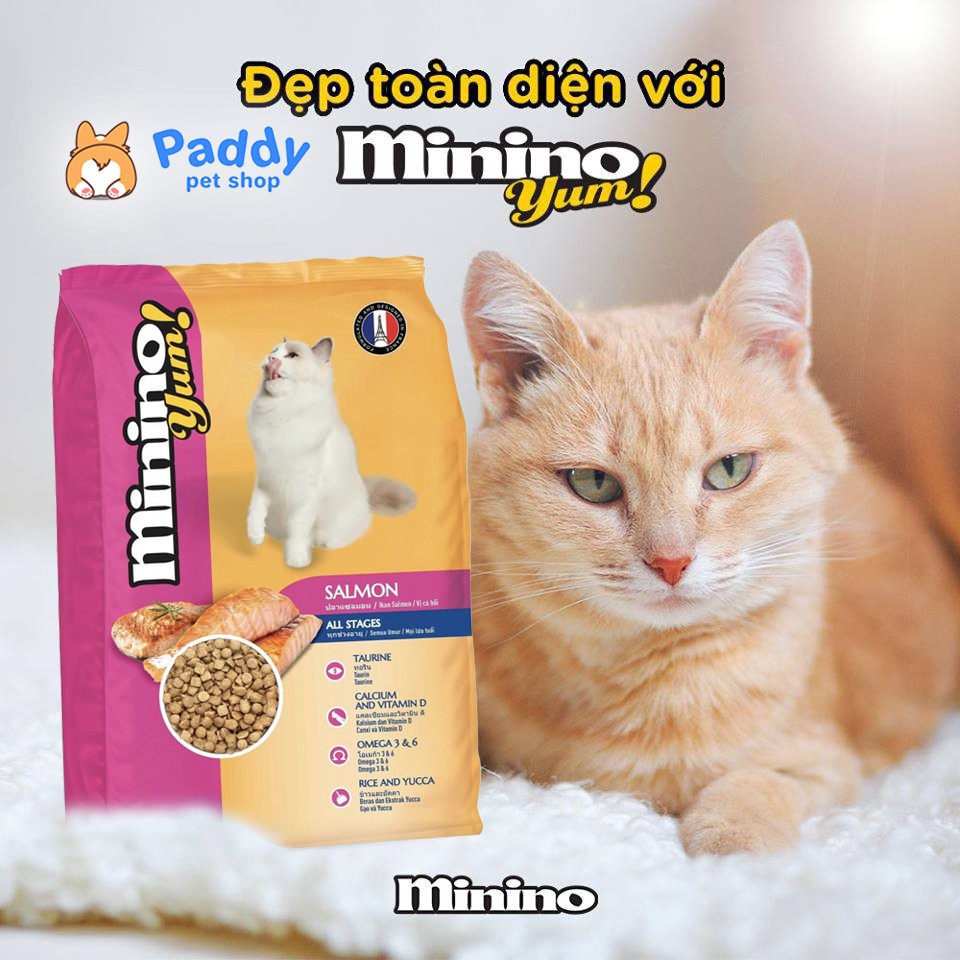 [7kg] Thức Ăn Hạt Cho Mèo Minino Yum Vị Cá Hồi (mèo mọi lứa tuổi) - 20 túi 350g