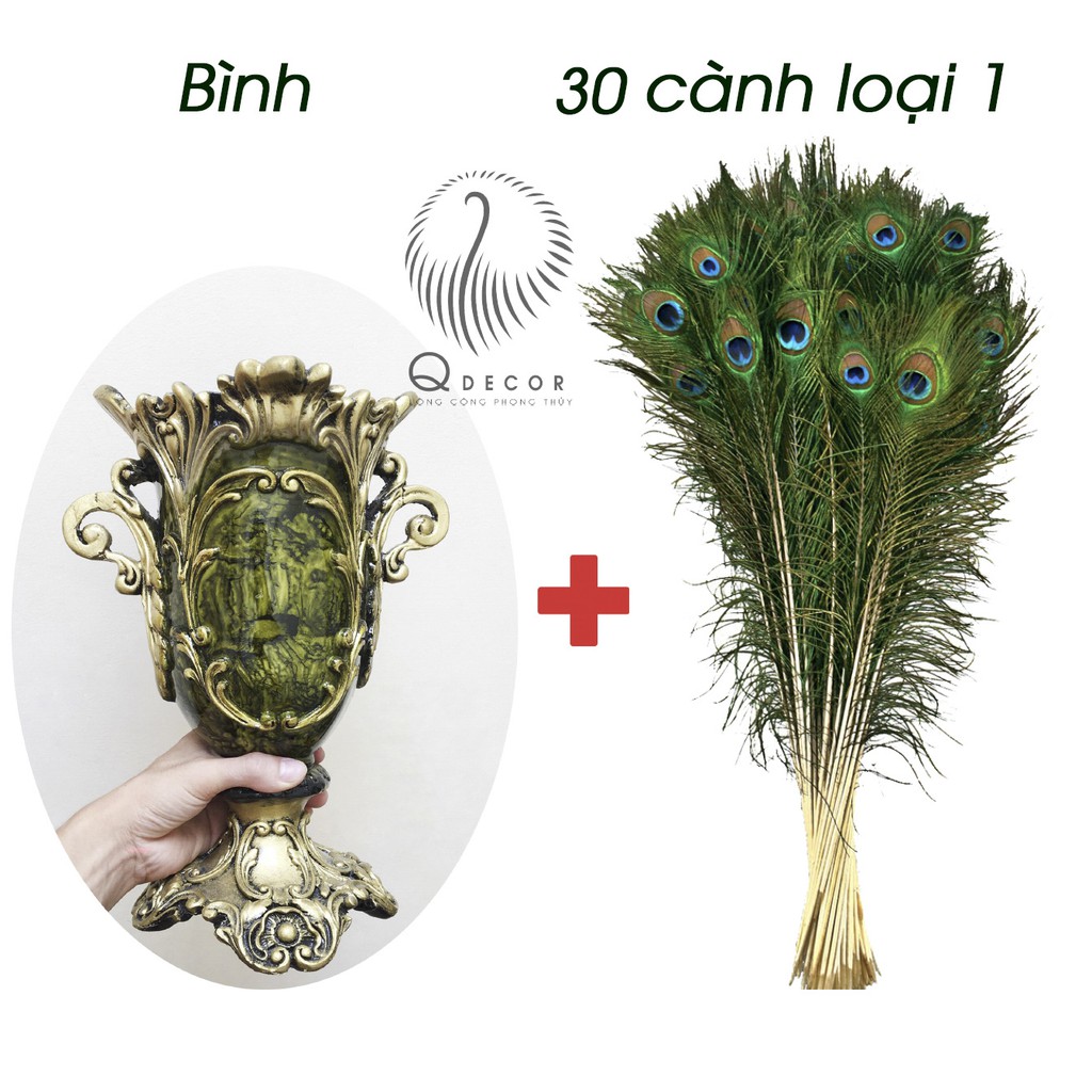 Bình cắm và 30 cành lông công phong thủy mắt to 4-6cm