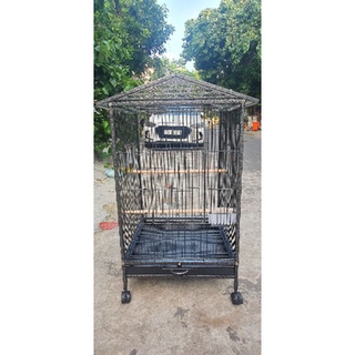 Lồng ngốt vẹt lớn