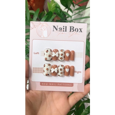 Bộ nailbox thiết kế sẵn