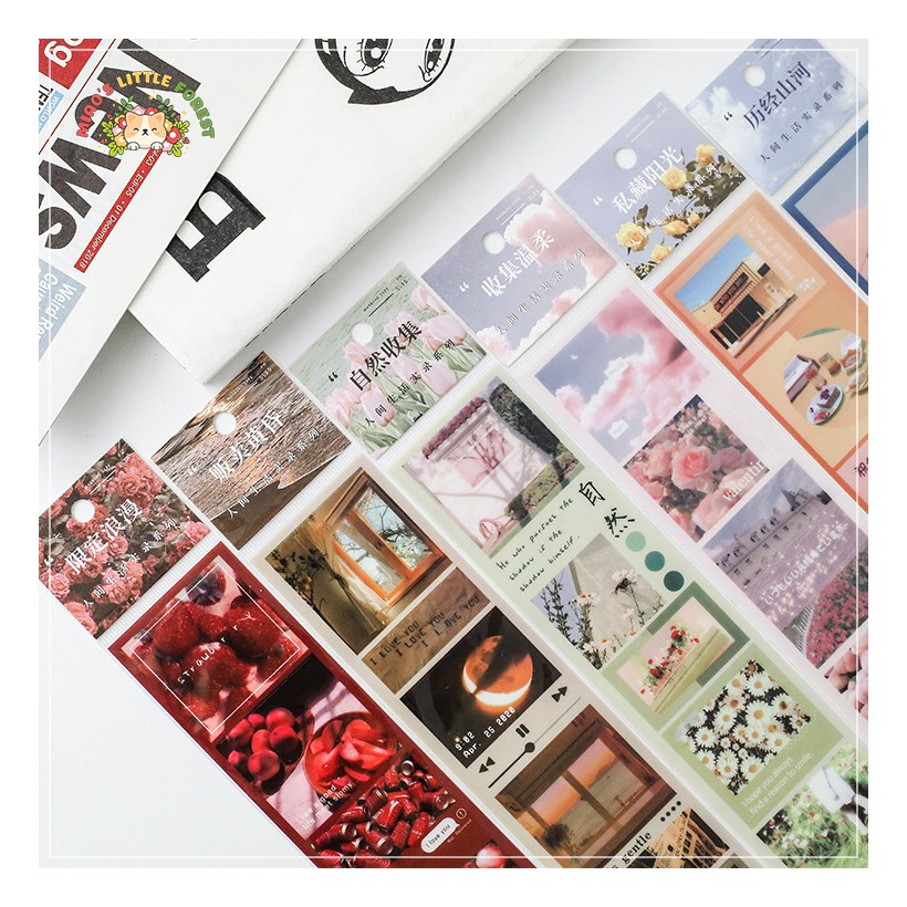 STICKER ẢNH PHOTO SERIES VOL.6 | MST321