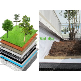 Vải Địa Kỹ Thuật Trồng Cây