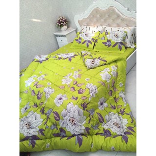 chăn phao sieu nhẹ poly nhiều màu 5