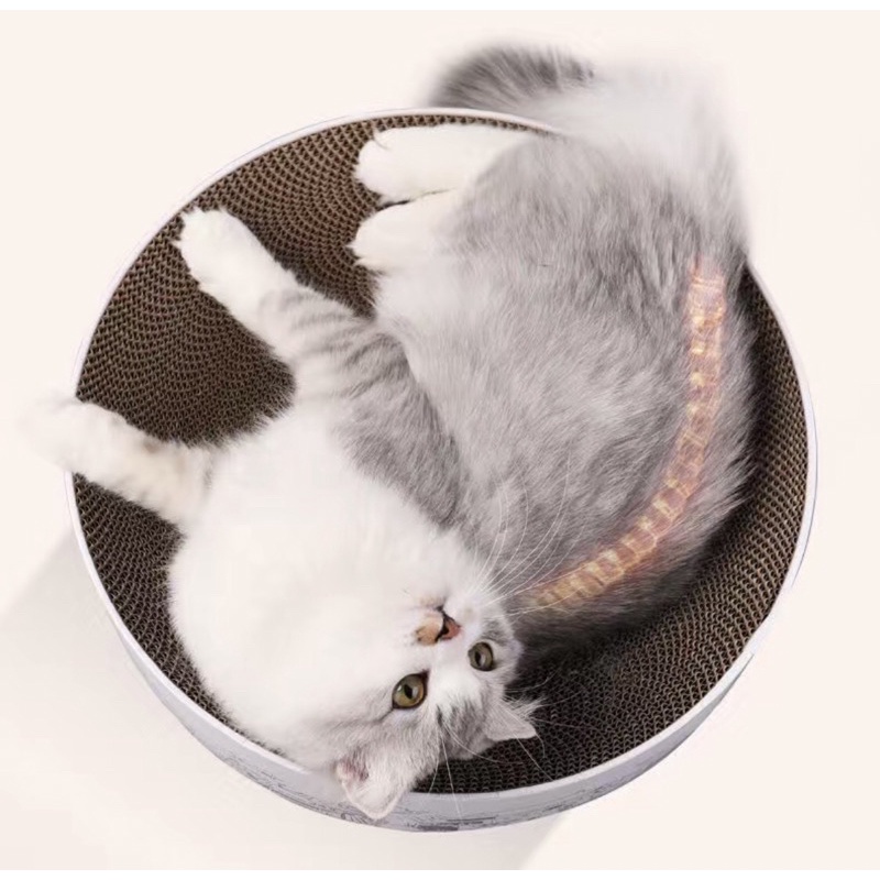 Bàn cào móng hình tròn size bự - Ổ nằm cho mèo tặng catnip kích thước 41x10cm