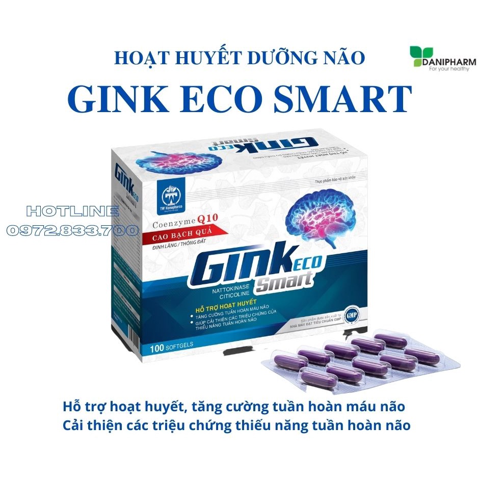 Hoạt huyết dưỡng não GINK ECO SMART, Bổ não, tăng cường máu lên não, tăng cường trí nhớ (hộp 100 viên)