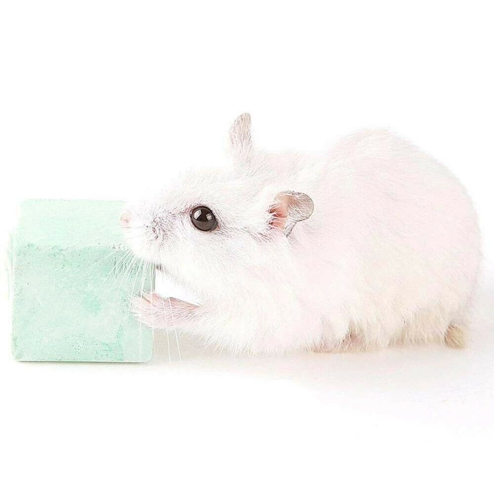 Bộ 5 Khối Rubik Mini Chất Lượng Cao Cho Chuột Hamster Và Thỏ