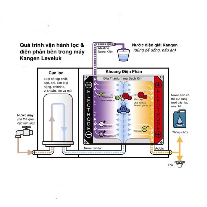 Máy Lọc Nước Điện Giải Ion Kiềm KANGEN LEVELUK SD501 PLATINUM 7 tấm điện cực 7 loại nước