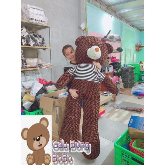 [BOBO] Gấu Teddy Cao Cấp 💖 FREESHIP 💖 Gấu Bông Teddy Khổ Vải 1M,1M1,1M3,1M45,1M65 Hàng VNXK Chất Đẹp