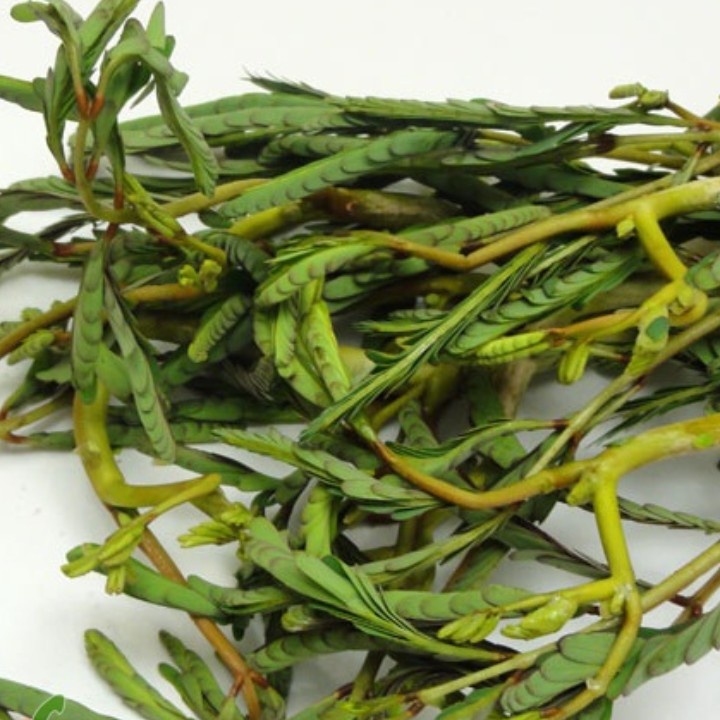 Phân Hữu Cơ ( 1Kg) Nhập Khẩu BỈ Agrimartin [ Đầu Trâu Bình Điền]