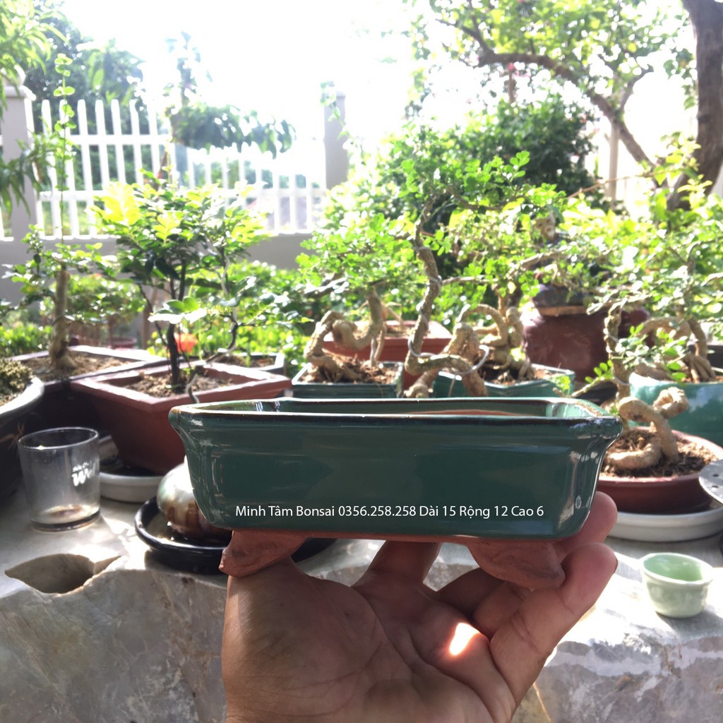 Chậu gốm sứ mini Bonsai Dài 15 Rộng 12 Cao 6