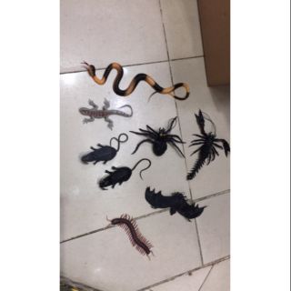 Côn trùng rắn rít- đồ chơi vui nhộn