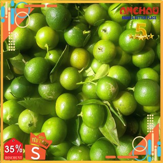 Bánh Tráng sa tế phơi sương